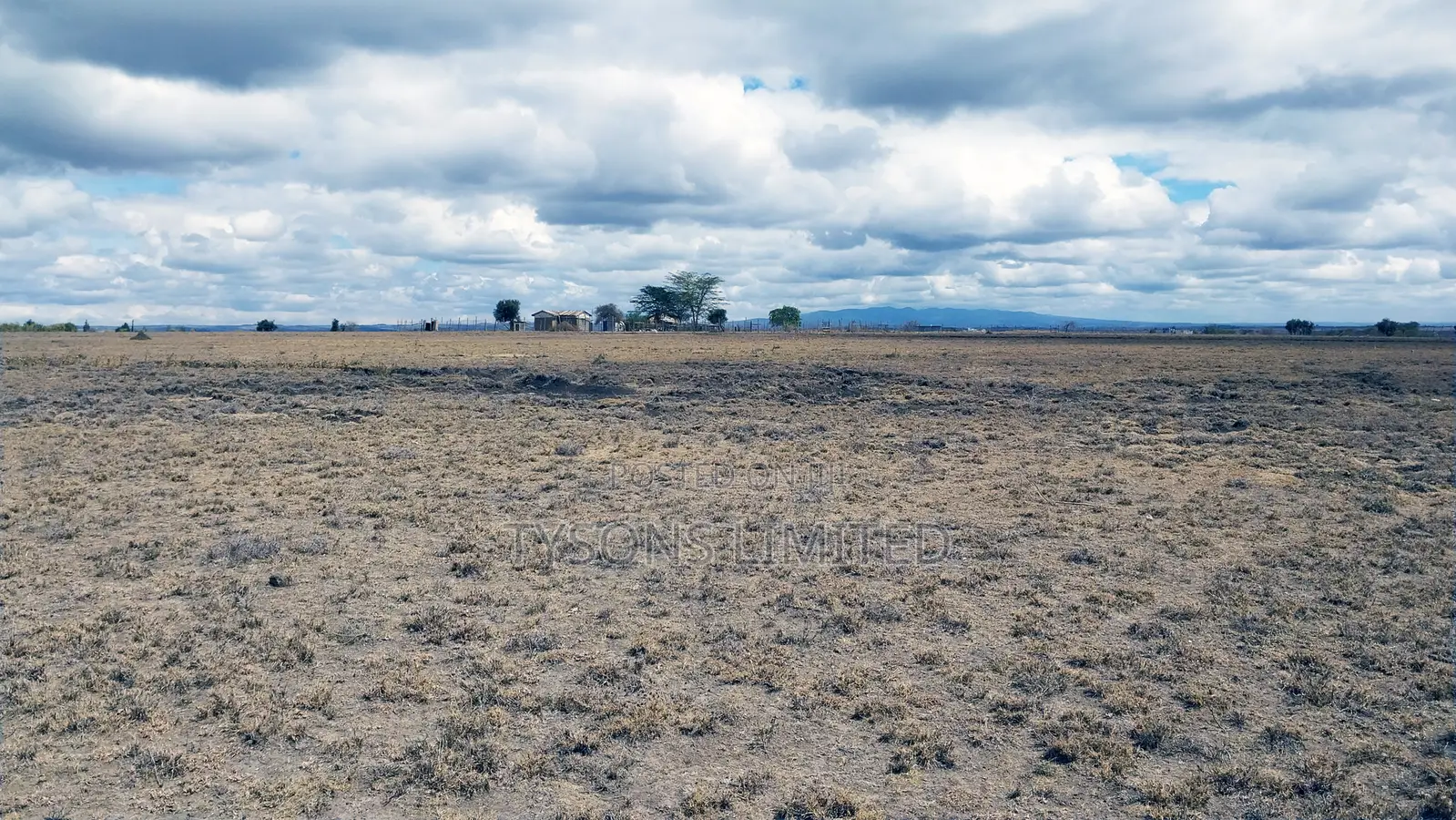 Quarter Acre Plots for Sale in Oloika,Kitengela