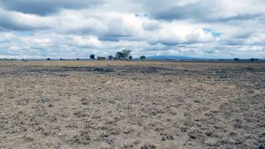 Quarter Acre Plots for Sale in Oloika,Kitengela