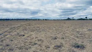 Quarter Acre Plots for Sale in Oloika,Kitengela