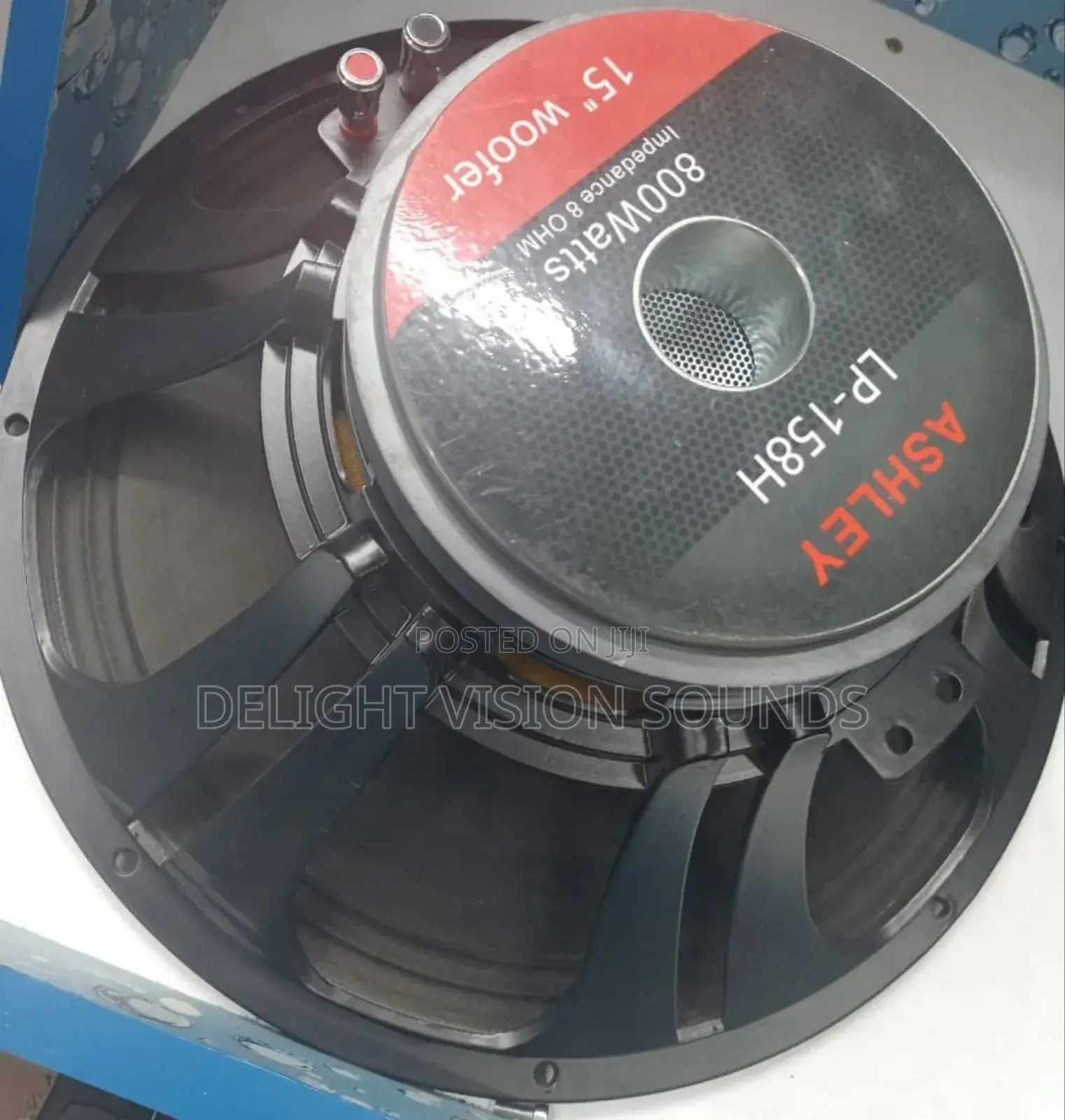 Ashley LP-158H Naked Speaker 15" 800W