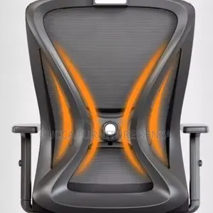 Office Chair: Orthopedic High-Back Lama Office Seat