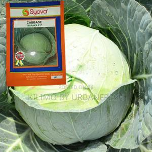 Cabbage Baraka F1 Seeds 25g - main view
