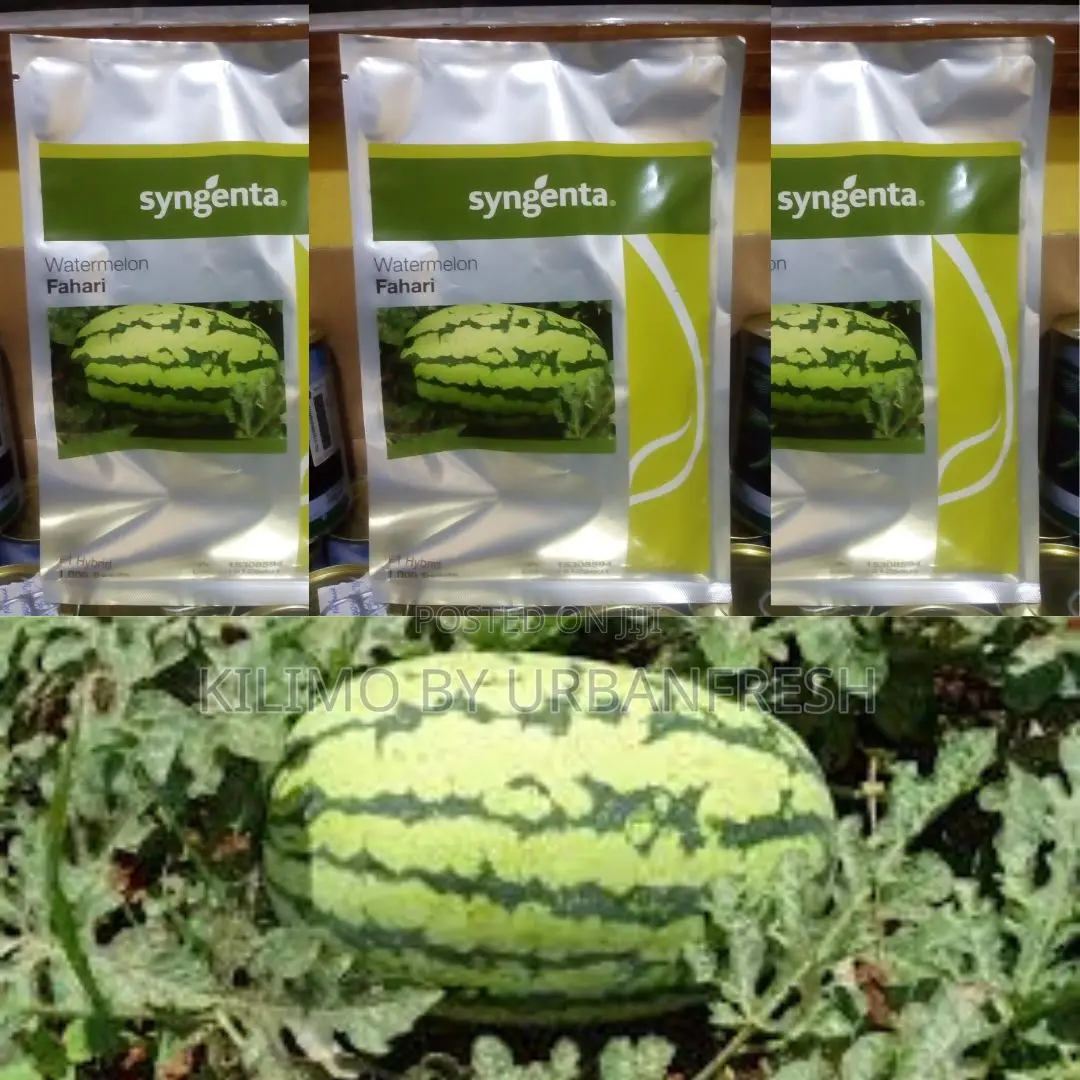 Fahari F1 Watermelon Seeds (1000 Seeds)