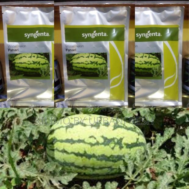 Fahari F1 Watermelon Seeds (1000 Seeds)