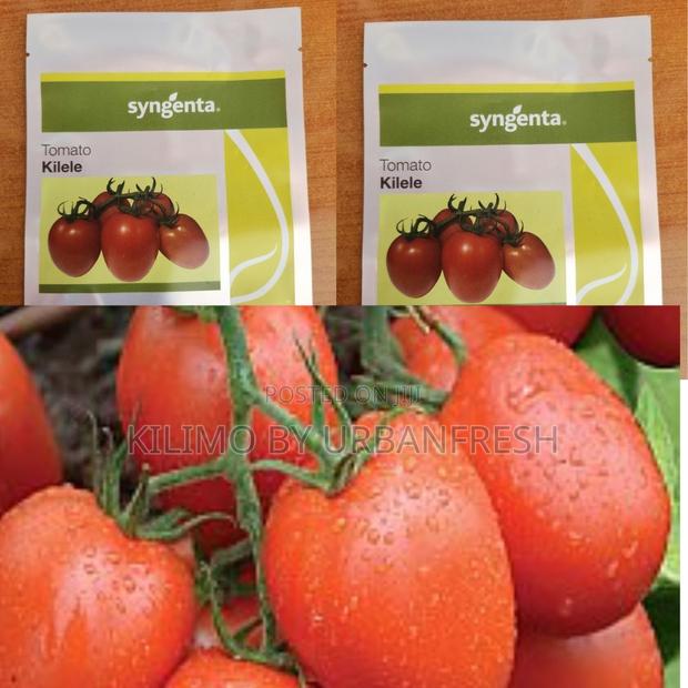 Kilele F1 Tomato Seeds (10000seeds)