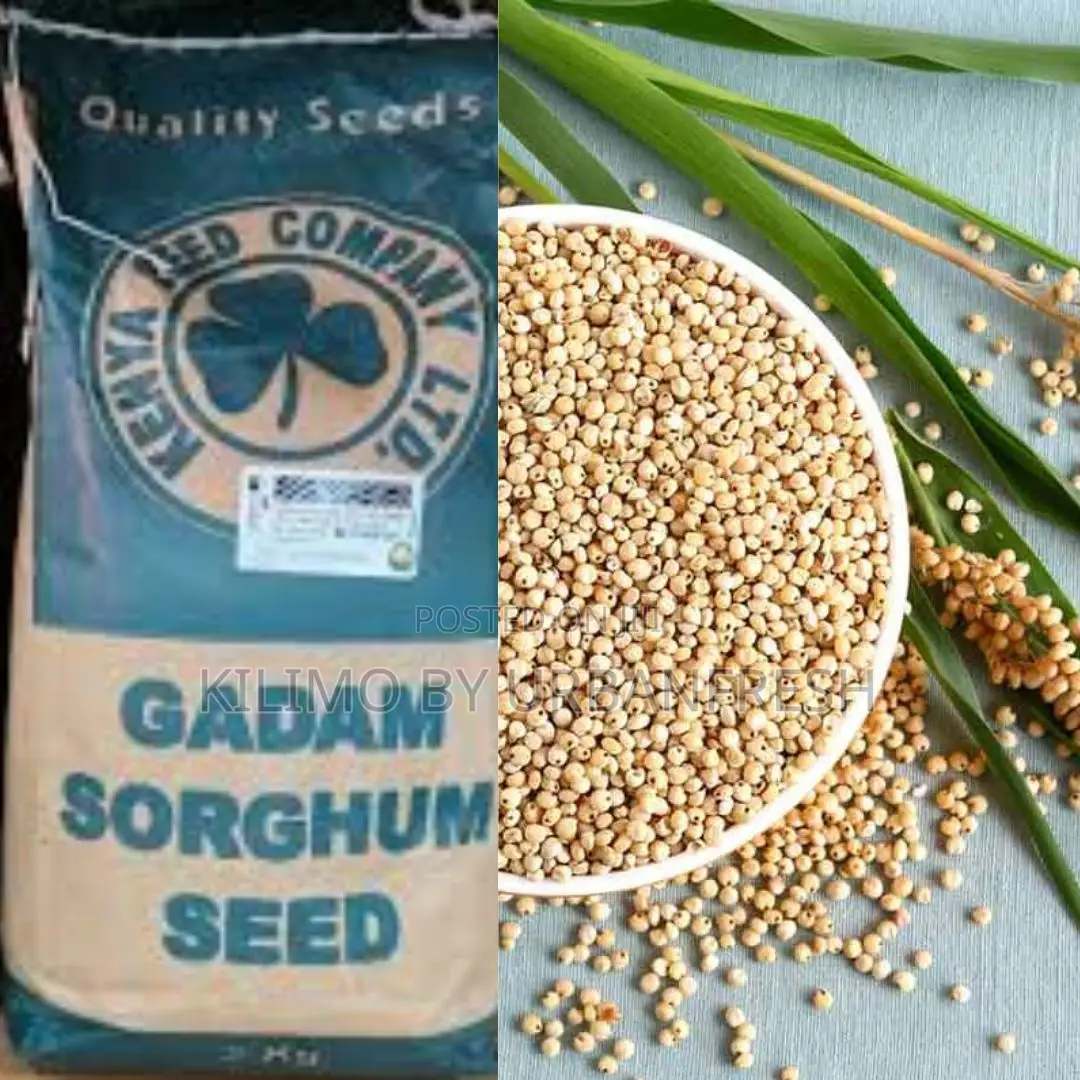 GADAM Sorghum Seeds 2kg