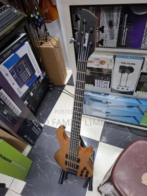 SDGR Ibanez 5 String Active Bass Guitar
