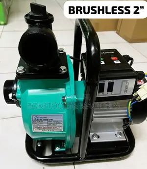 Shiyuan Brushless Dc Surface 2" Pump 48v 1200w + Controller
