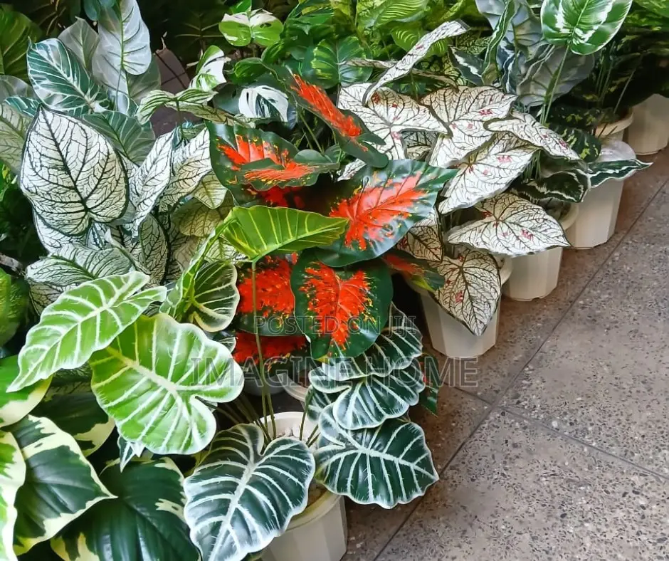 Artificial Green Plants, Home Decoration