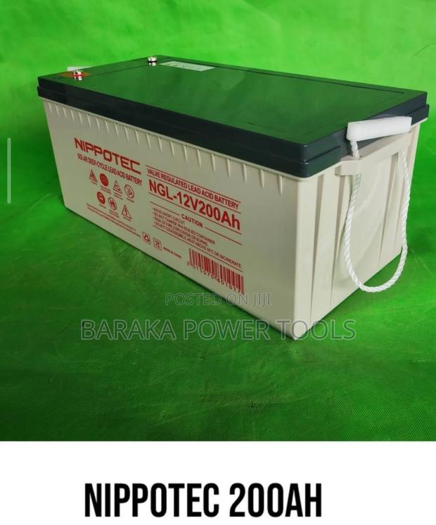 Nippotec 12v Solar Battery