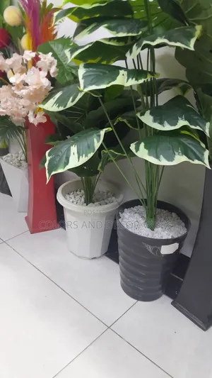 Flowered Plant With Vase Plastic in Stock