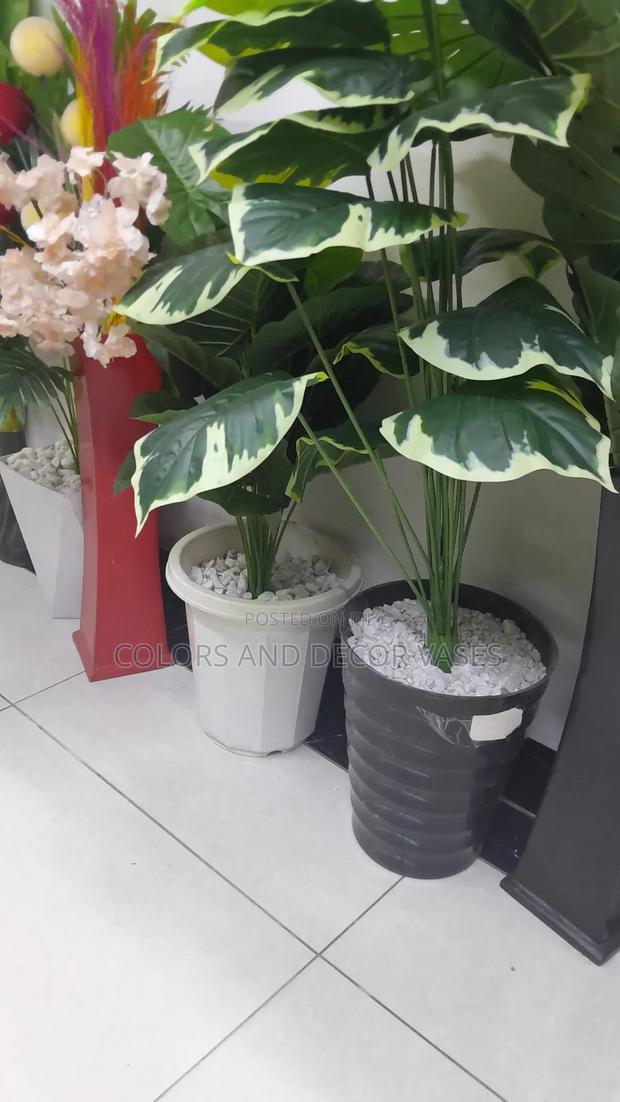 Flowered Plant With Vase Plastic in Stock