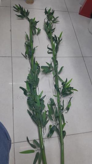 Bamboo Sticks 1.7m Long - main view