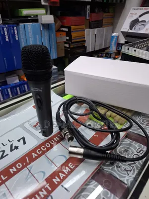 Soundking Wire Microphone