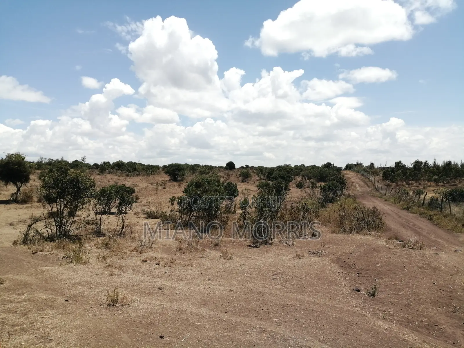 10 Acre Freehold Land for Sale in Lamuria Land & Plots for Sale