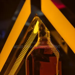 Club Hostess Lights for Bottle Presentation