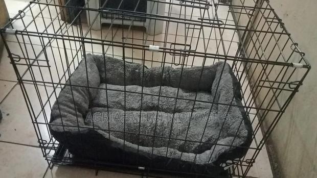 Pet Cages and Kennels With Mattress Size 60cm - main view