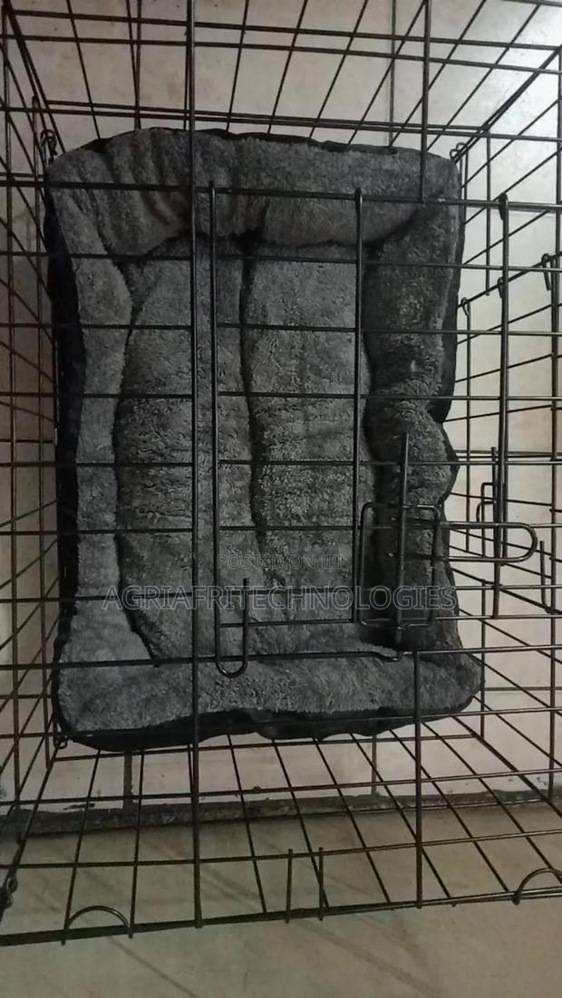 Pet Cages and Kennels With Mattress Size 60cm - thumbnail 2