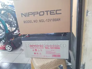 Nippotec 100 Ah 12 V