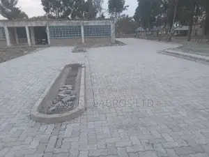 Cabros Laying All Over Kenya