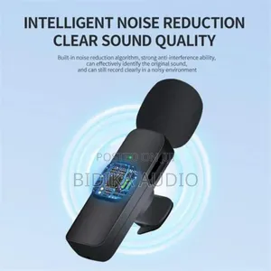 2.4 GHZ Dual Wireless Microphone