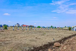 Gated Plots in Kamakis^JM