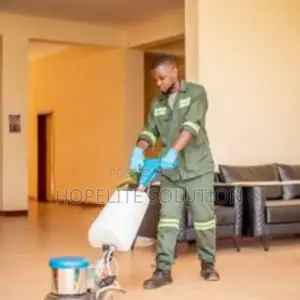 Tile Scrubbing Services