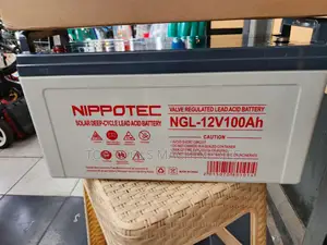 Nippotec 100ah 12V Brand New Battery