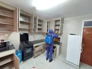 Kitchen Shelves Fumigation Services