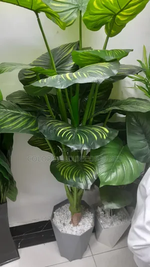 Big Stripped Plant 1.6m