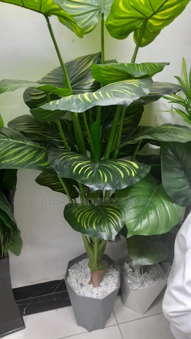 Big Stripped Plant 1.6m