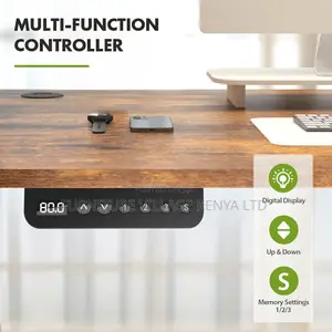 48 * 24 Inch Electric Ergonomic Standing Desk