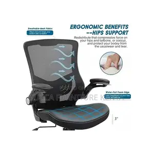 Office Chair: Mid-Back Orthopedic Executive Seat