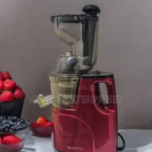 Rebune Slow Juicer