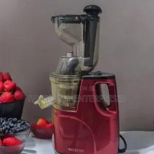 Rebune Slow Juicer