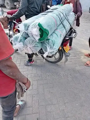 Scaffolding Nets