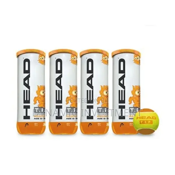 HEAD TIP Orange Tennis Balls (1 Can)