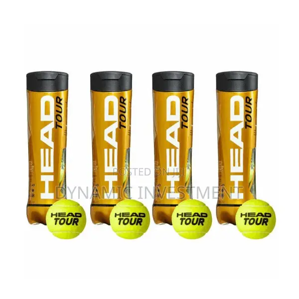 HEAD Tour HA Tennis Ball Can (1 Can)