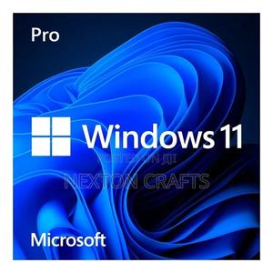 Microsoft Windows 11 Pro - main view