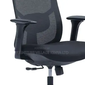 High-Back Orthopedic Executive Office Mesh Chair
