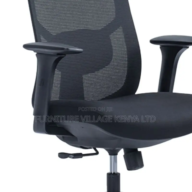 High-Back Orthopedic Executive Office Mesh Chair