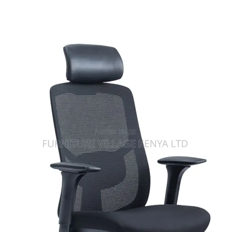 High-Back Orthopedic Executive Office Mesh Chair
