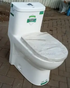 One Piece Toilet