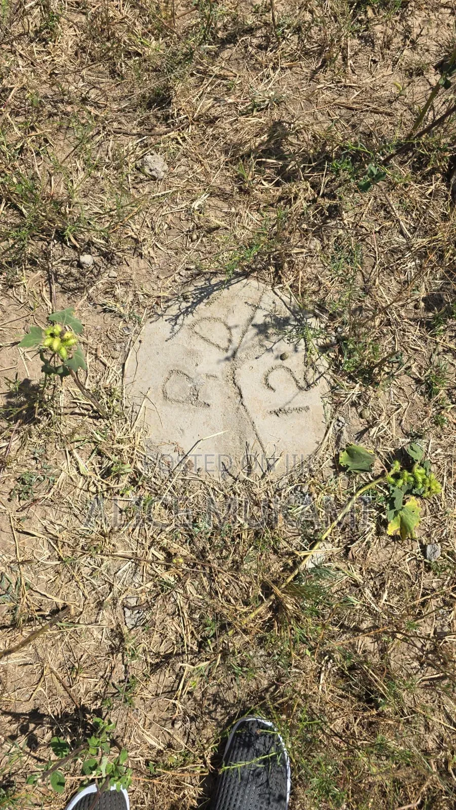 Kithyoko Plots in Kithyoko Land & Plots for Sale, Alice Mukami Jiji