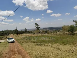 1/8 Kibiku Ngong