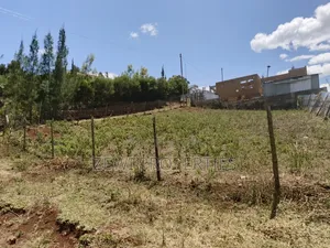 1/8 Kibiku Ngong