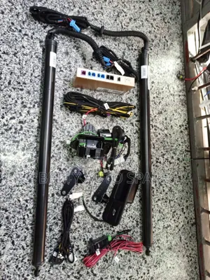 Harrier 2015/2019 Electric Boot Shocks