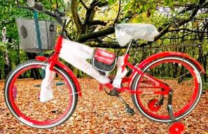 Tanda Bicycle Size 20 - main view