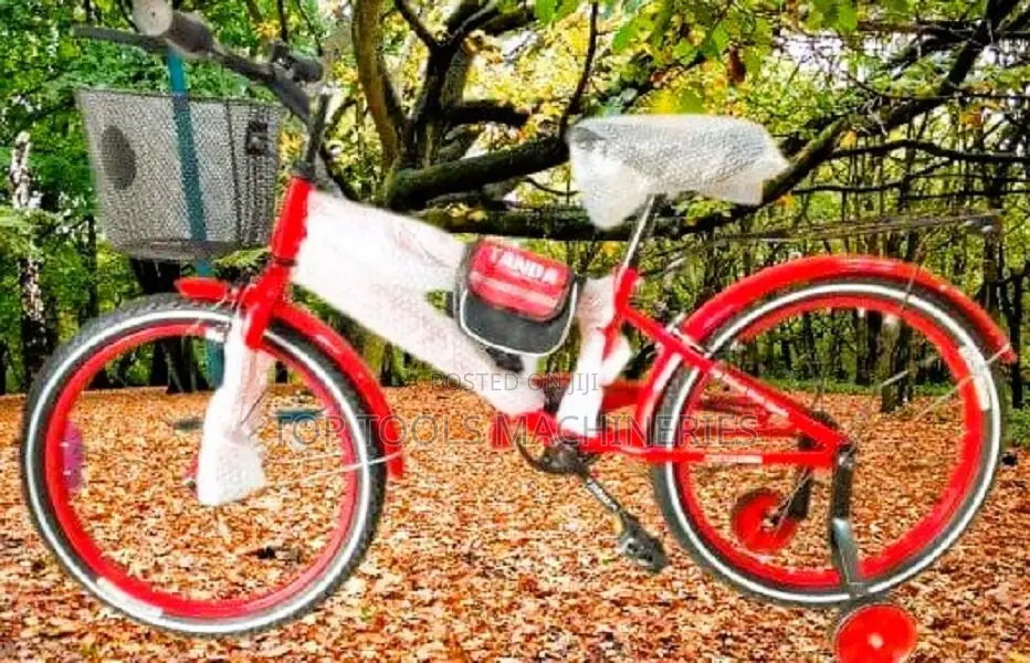 Tanda Bicycle Size 20