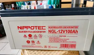 Nippotec 100ah 12V Brand New Battery